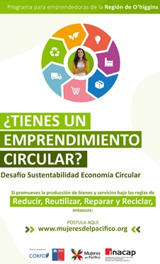 SSAF Desafío Sustentabilidad: El programa que promueve la economía circular en O’Higgins a través de emprendimientos femeninos