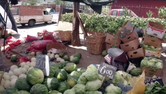 Feriantes buscan ideas innovadoras para reciclar residuos orgánicos que se generen en ferias libres