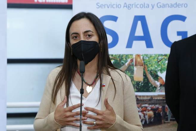 Nueva campaña informativa refuerza la necesidad de proteger el patrimonio fito y zoosanitario de Chile