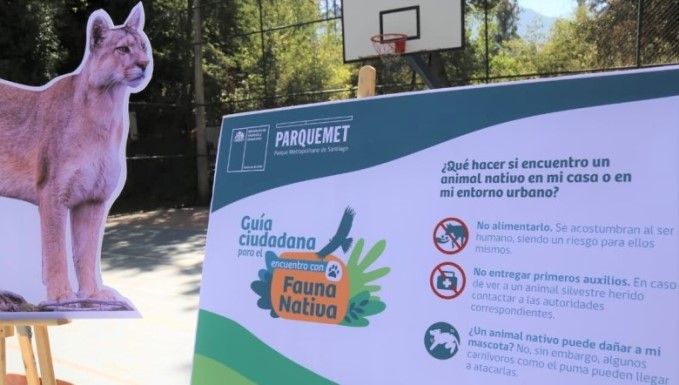 MINVU O’Higgins recuerda guía para el encuentro  con fauna nativa