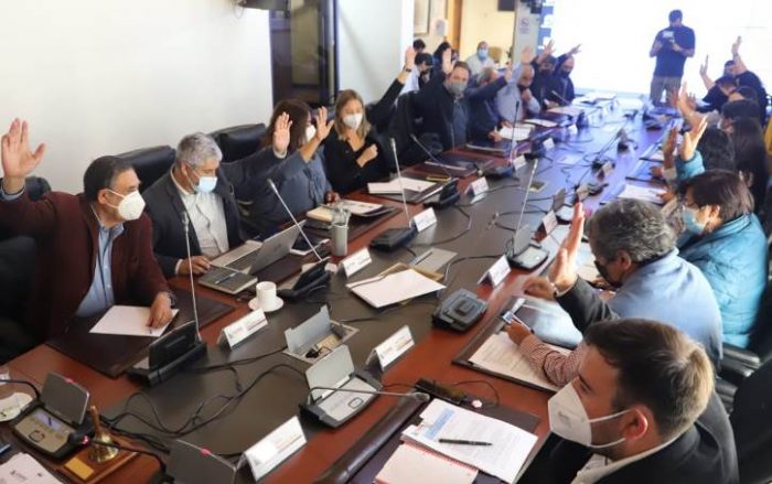 Consejo Regional aprueba M1.039.431 para iniciativa “Capacitación yo emprendo semilla FDNR”