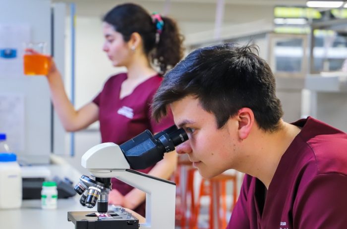 Tecnología Médica: La carrera “silenciosa” que impartirá la Universidad Estatal de O’Higgins