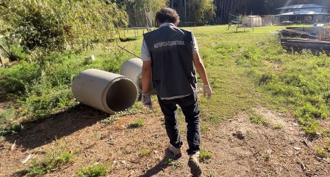 Recomendaciones para evitar propagación de Influenza Aviar en la Región