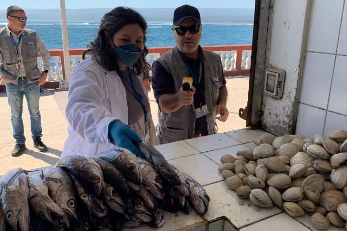 Casi media tonelada de pescados y mariscos fueron decomisados por la SEREMI de Salud