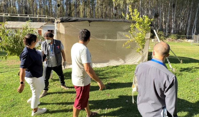 SEREMI de Salud emitió recomendaciones para evitar contagios de Influenza Aviar en traspatios