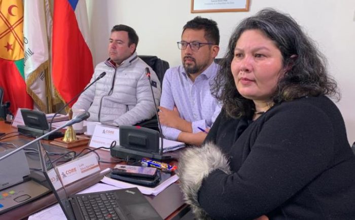 SEREMI de Salud expone ante el Consejo Regional procesos de vacunación en O’Higgins