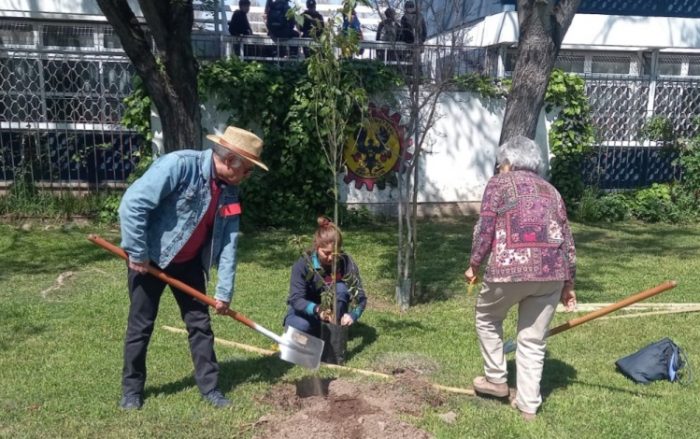 Rancagua más verde y sustentable: Municipalidad realiza por primera vez en la ciudad ‘Jornada de Plantación Participativa Inclusiva’