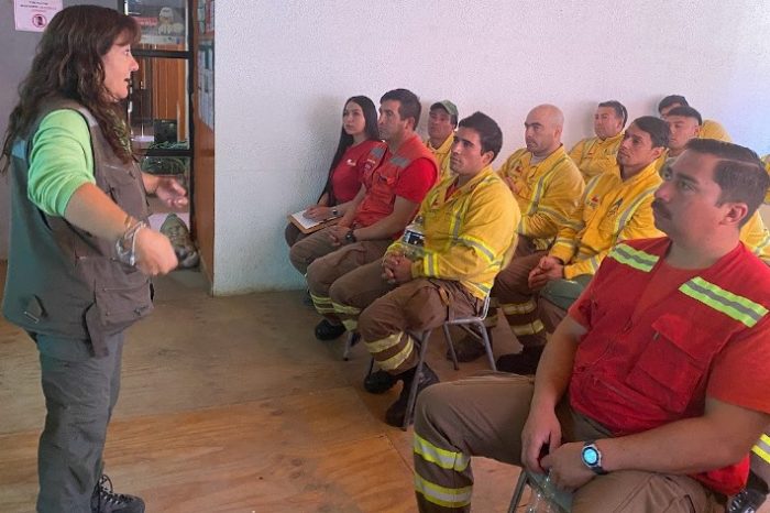 Brigadistas de CONAF participan en charlas de género para promover la cultura de la equidad