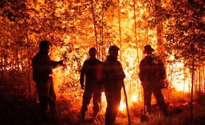 Derechos de trabajadores por incendio en las regiones de Valparaíso, O’Higgins y Maule