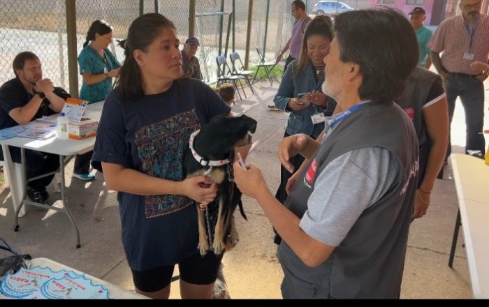 SEREMI de Salud reporta nuevo caso de murciélago con rabia en Rancagua