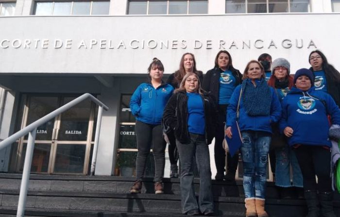 Agrupaciones de autismo interponen recurso de protección por circular de Superintendencia de Educación