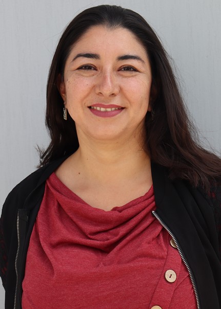 Formación de profesionales íntegros en Chile: convertir el aula de un trabajo individual a una comunidad