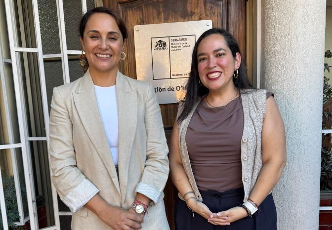 SernamEG interpone querella de oficio por femicidio consumado ocurrido en Pichidegua